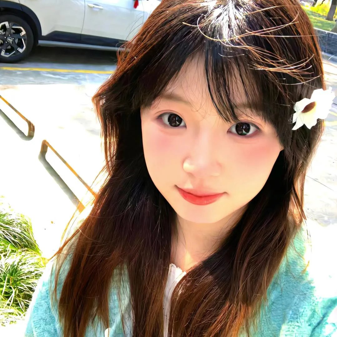 白鸥啊 不要飞起来
